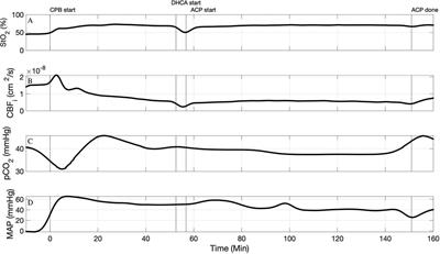 The use of novel diffuse optical spectroscopies for improved neuromonitoring during neonatal cardiac surgery requiring antegrade cerebral perfusion